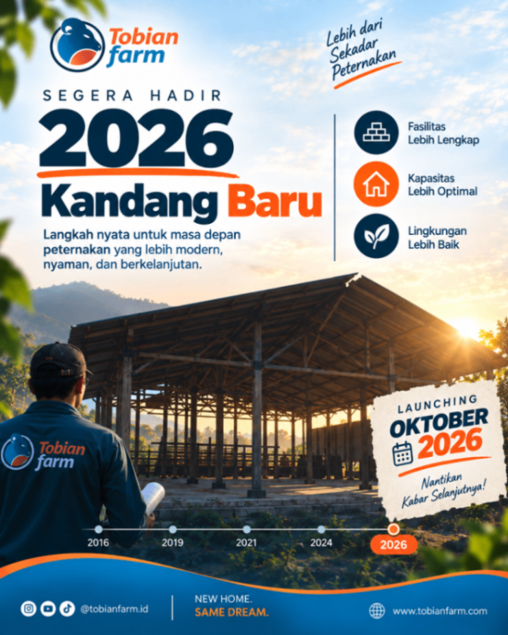 Tobian Farm Pindah Kandang: Menuju Kandang Utama Baru yang Lebih Modern